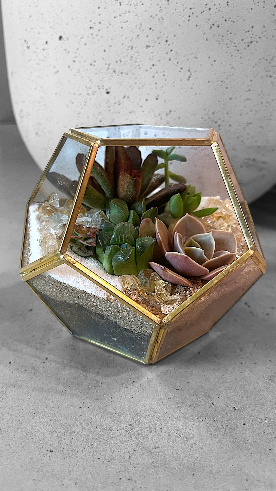 gold geometric succulent terrarium Gold Geo Terrarium