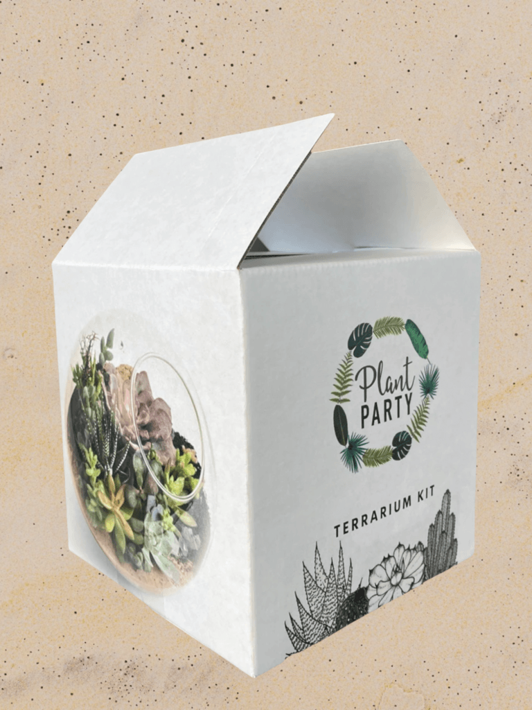 plant terrarium kits Terrarium Kit