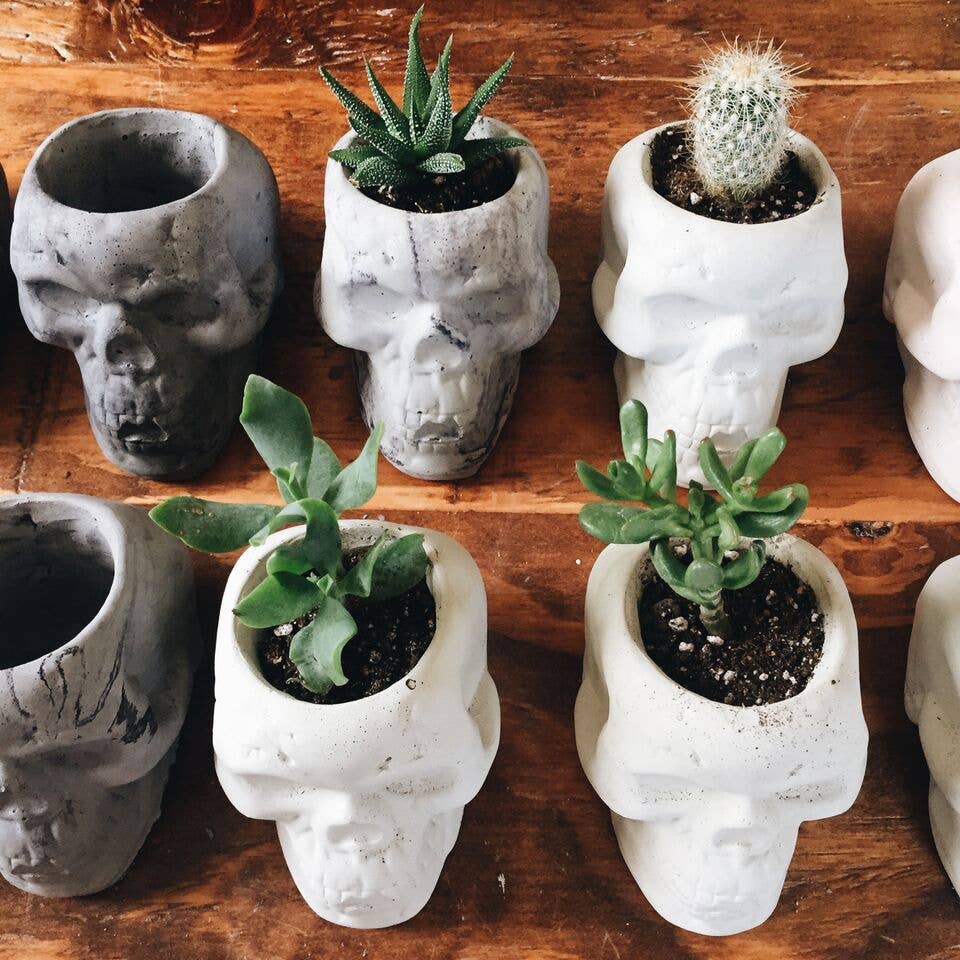 skull succulent pot Golden Gems - Skull Planters