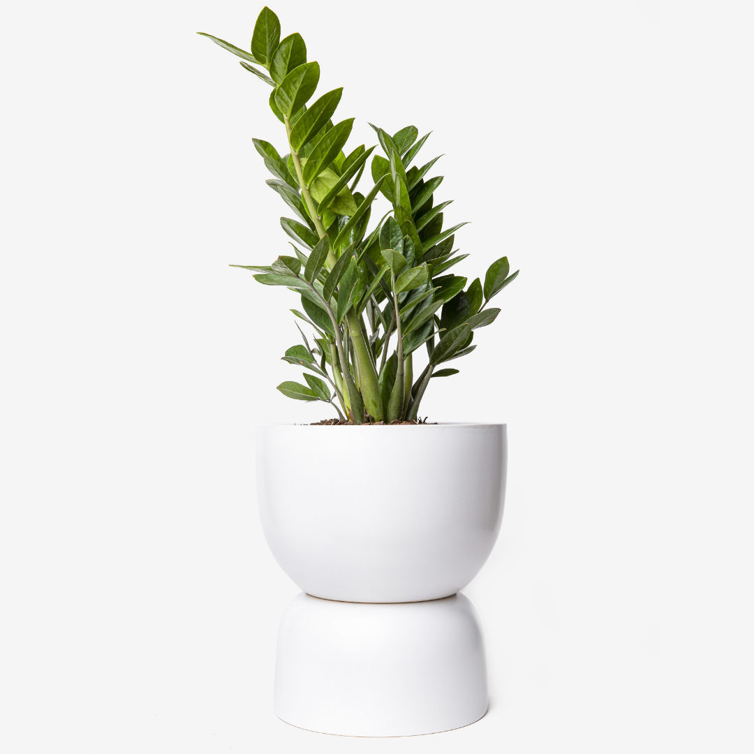 hourglass plant pot Peach & Pebble - Ceramic Hourglass Planter (White, Black, Pink, Blue I