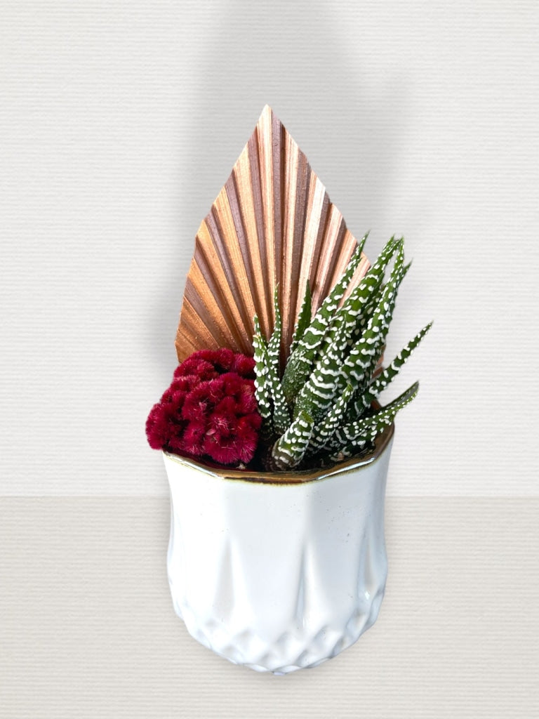Aloe + Palm in Celosia Planter | Plant Party, image size:768x1024