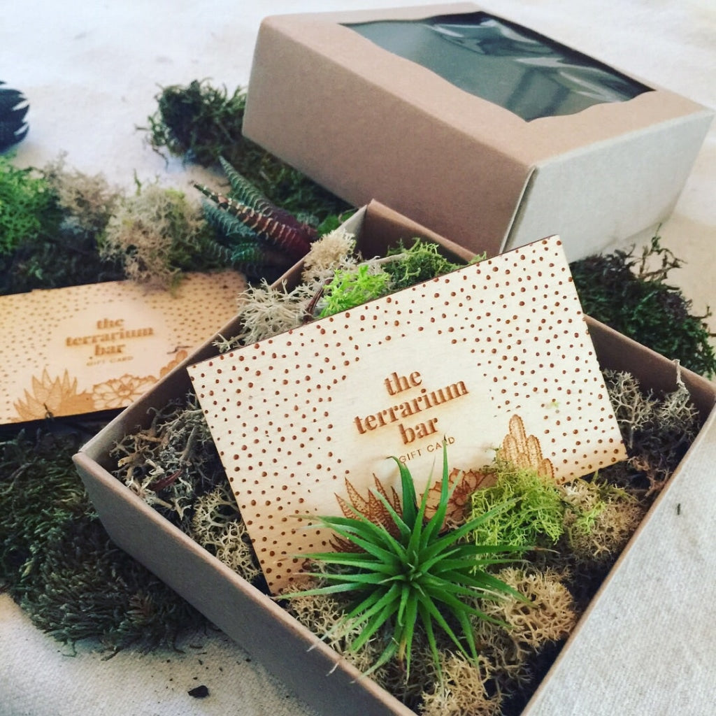 succulent gift card Gift Card + eGift Card