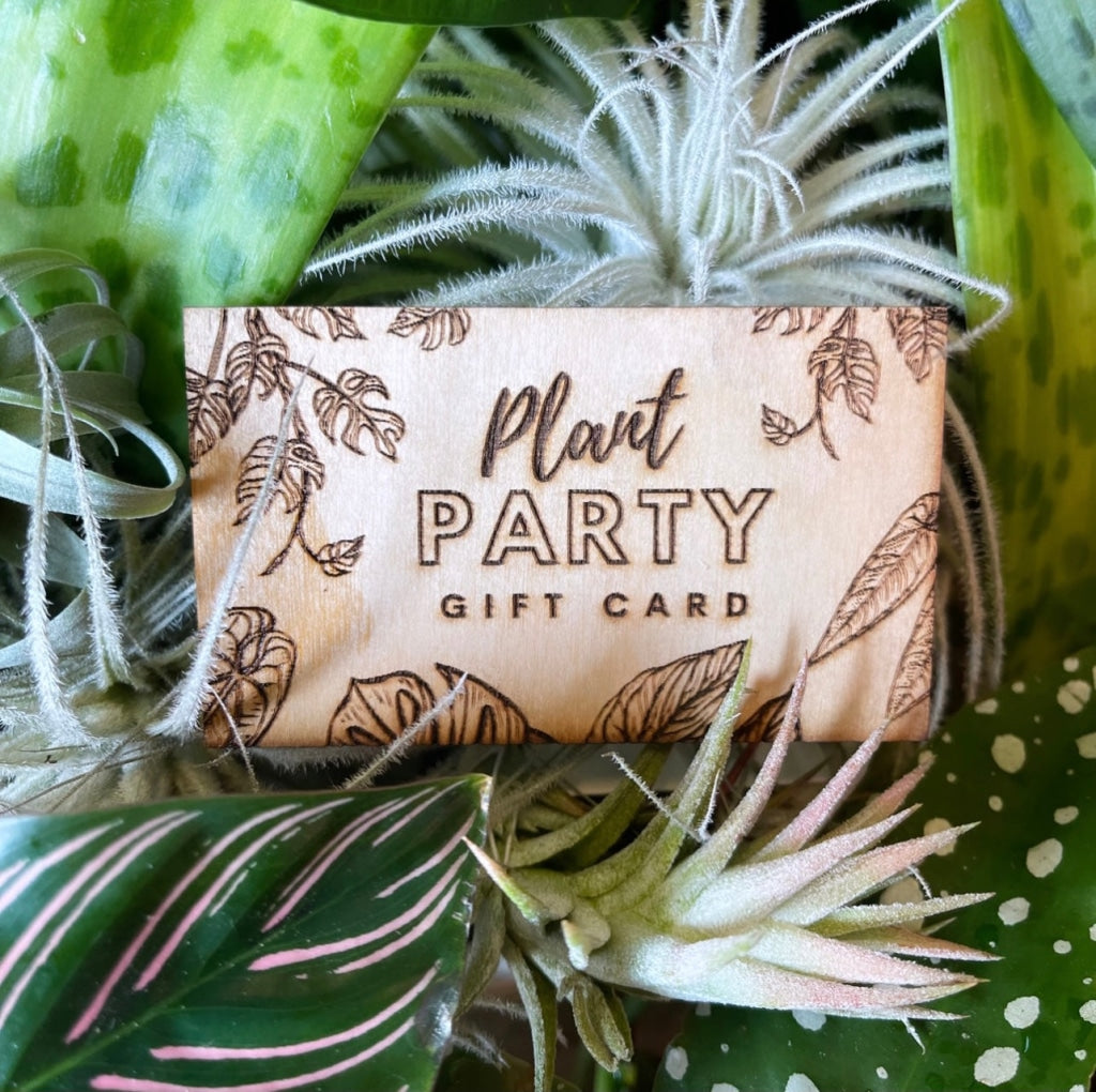 http://plantparty.co/cdn/shop/products/gift-card-egift-50-birch-in-store-purchase-only-465_1200x.jpg?v=1656386409