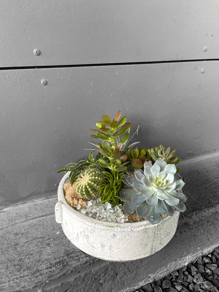 Large Succulent Garden in Sailor Planter