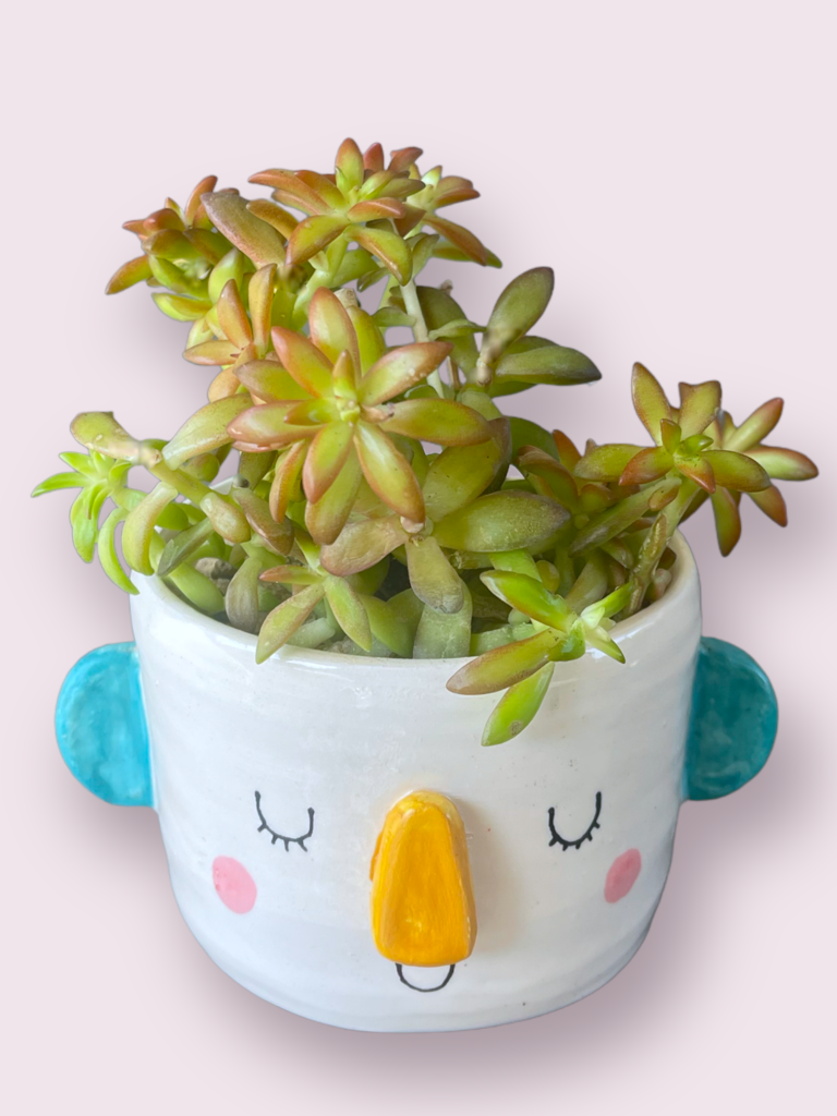 Peach Graptosedum in Happy Face Planter