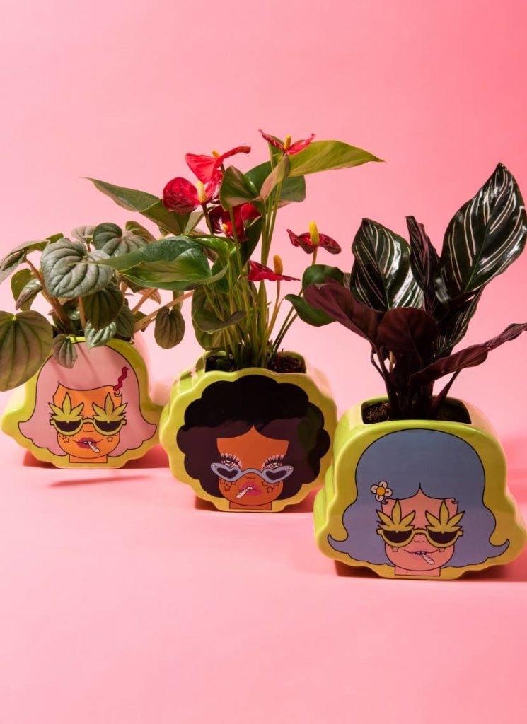 pothead plants Valfre - Potheads Planter Set