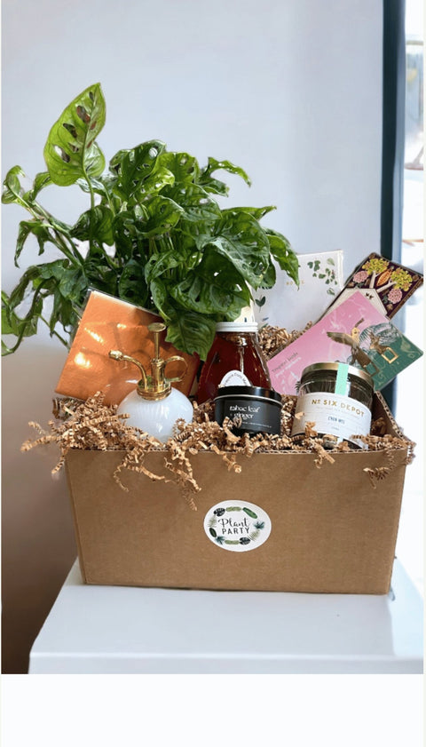 Gifts to Add to Plant Delivery | Plant Party