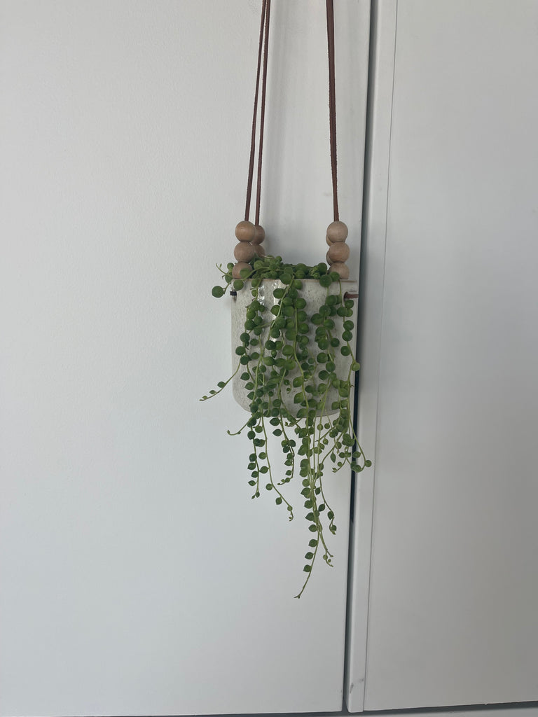 Hanging String of Pearl in Tamika Planter
