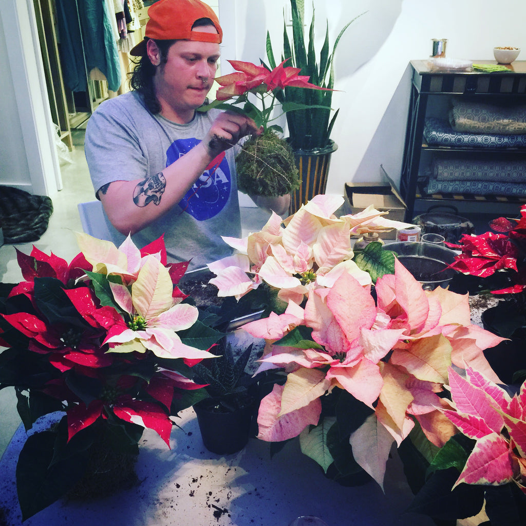 Kokedama Poinsettia Workshop