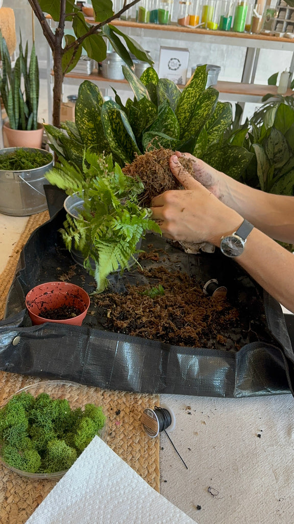 Kokedama Workshop
