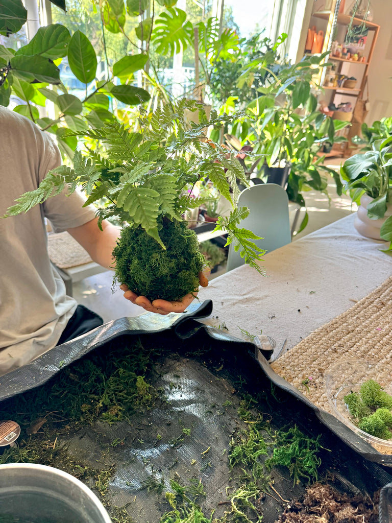 Kokedama Workshop