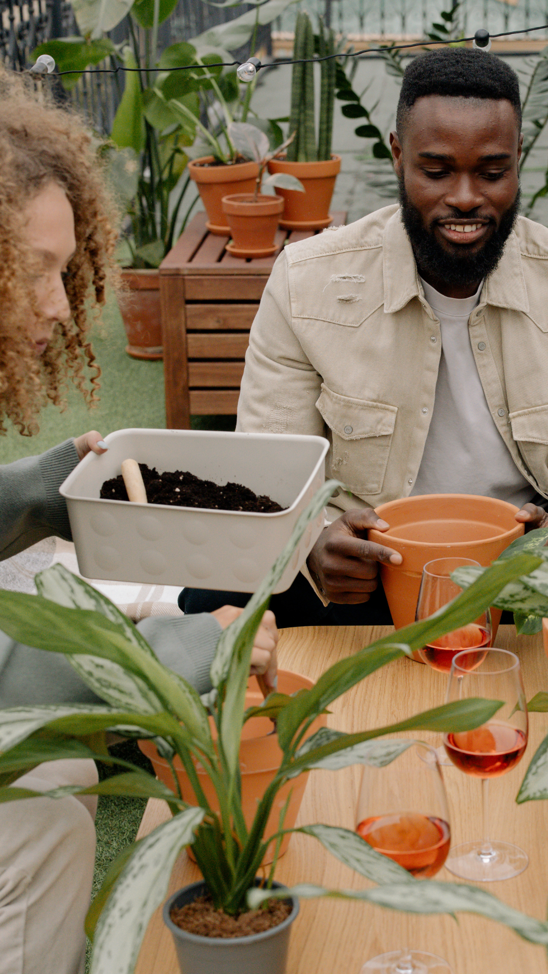 Houseplants 101
