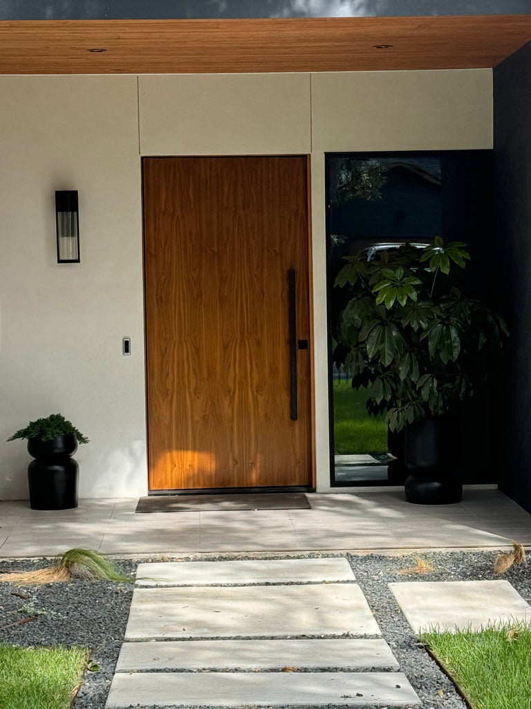 house plants austin Houseplant Consultation - Austin, Tx