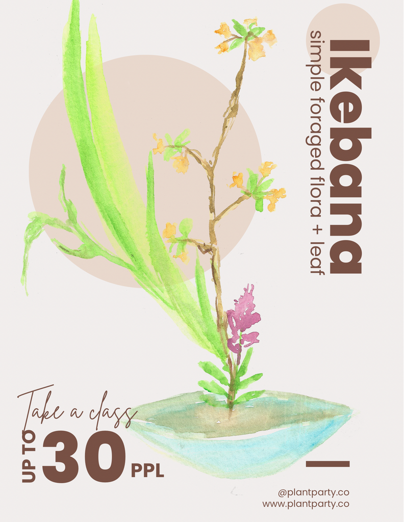 Ikebana Class: The Art of Japanese Flower Arranging