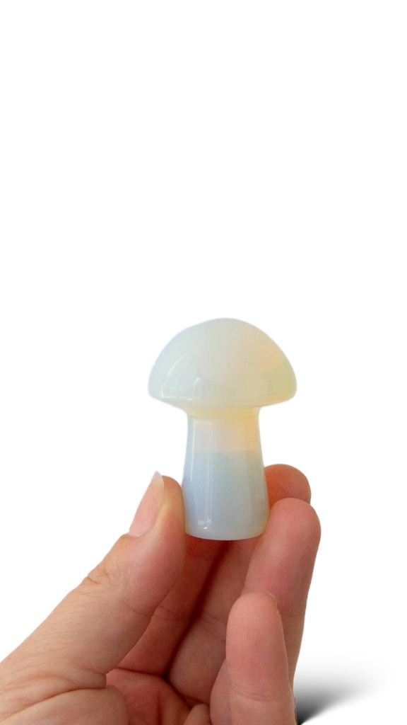 Opal Mushroom