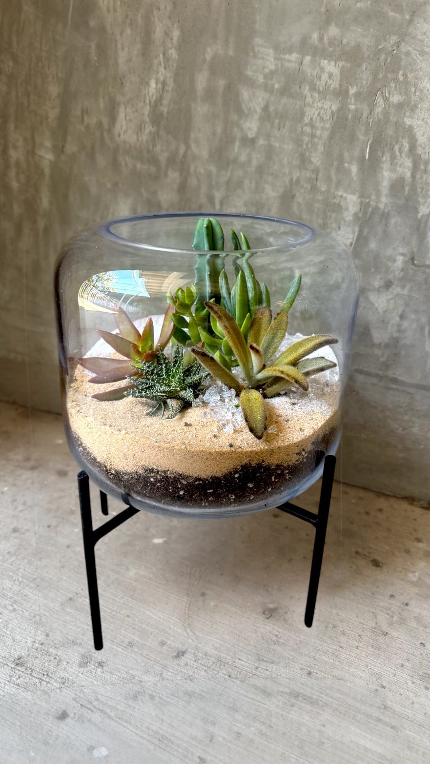 Plant Party Mousseaux Terrarium Garden