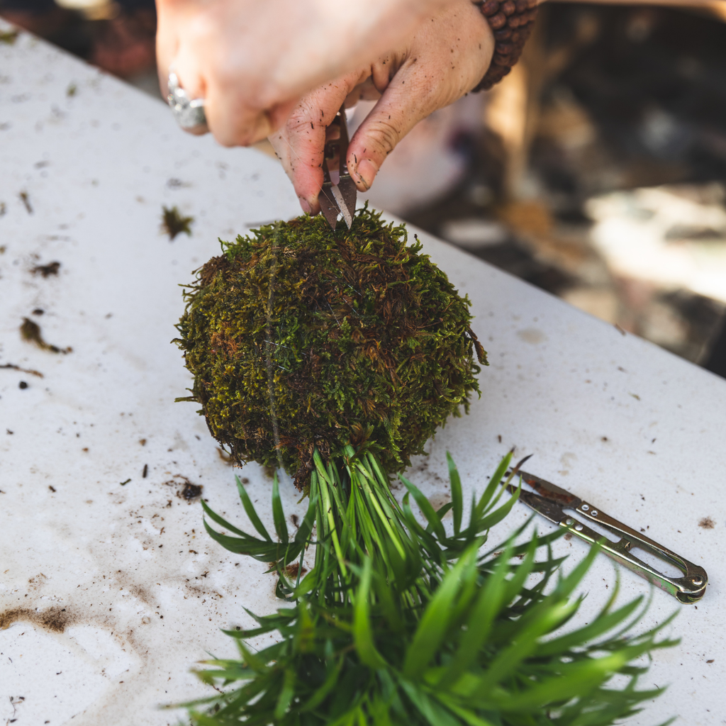 Kokedama Workshop