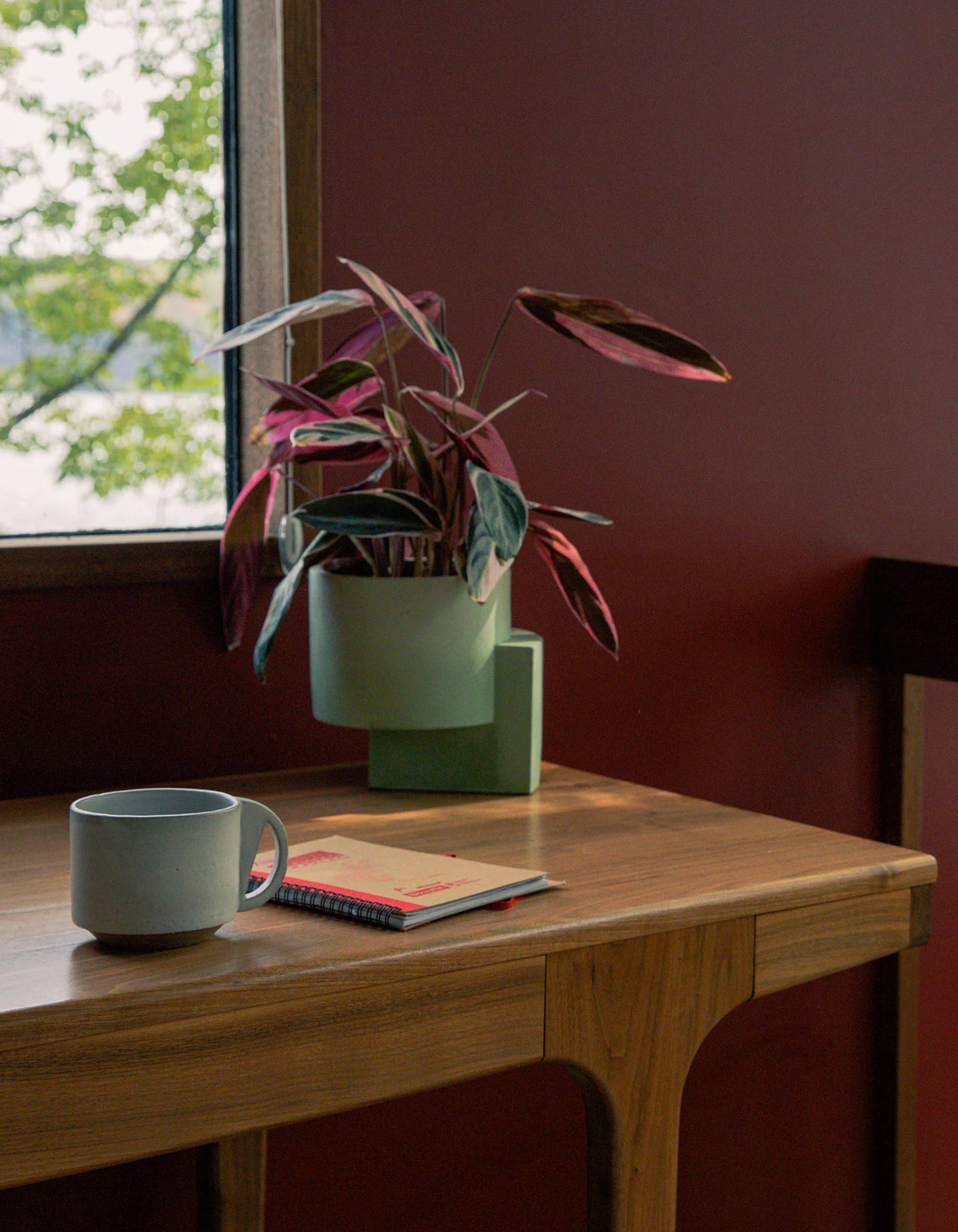 Tortuga Forma Platform Planter Medium