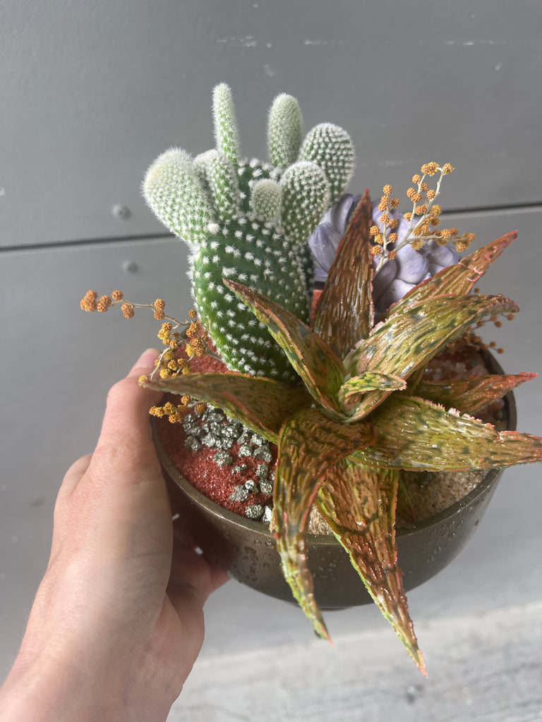 Aloe + Cacti w/ Lavender Dried Floral & Rust Sands