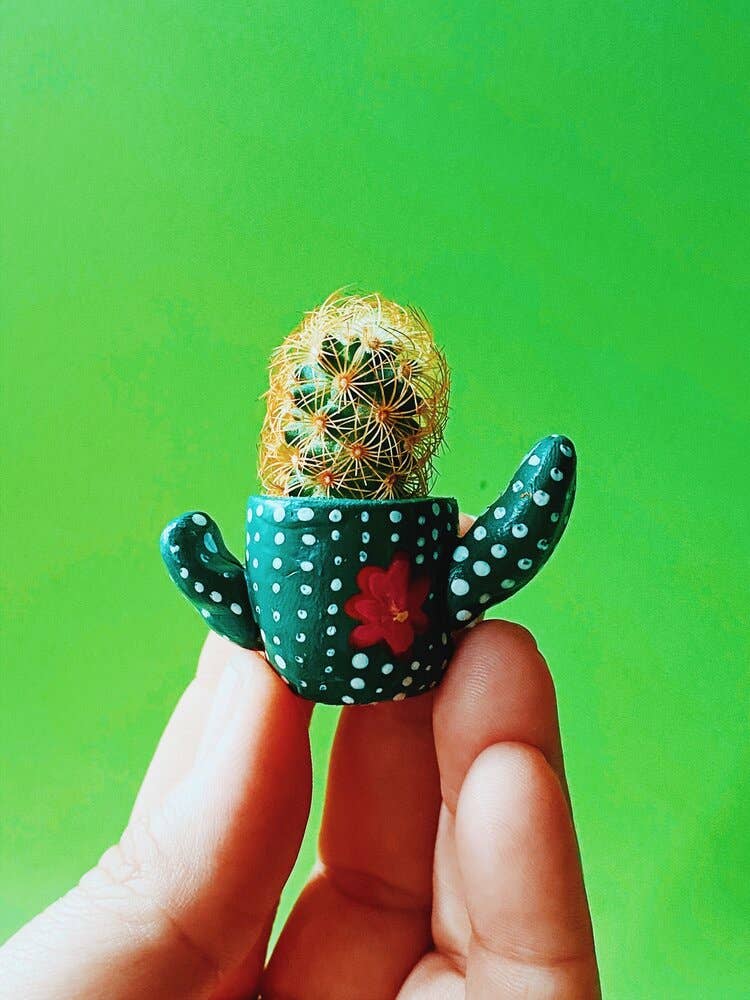 O'Berry's Succulents - Cactus Hug