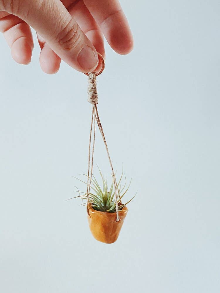 O'Berry's Succulents - Mini Ochre Hanging Planter with Air Plant