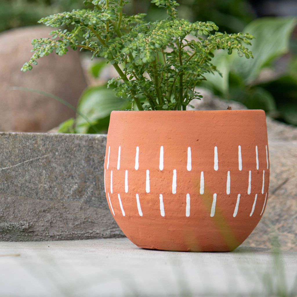 Foreside Home & Garden - Anaise Terracotta Planter