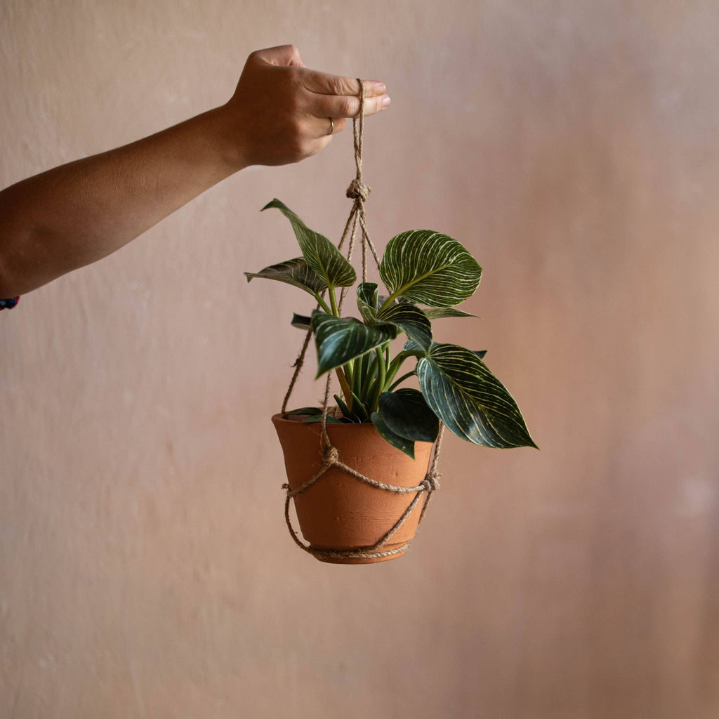 Foreside Home & Garden - Eryk Hanging Terracotta Planter