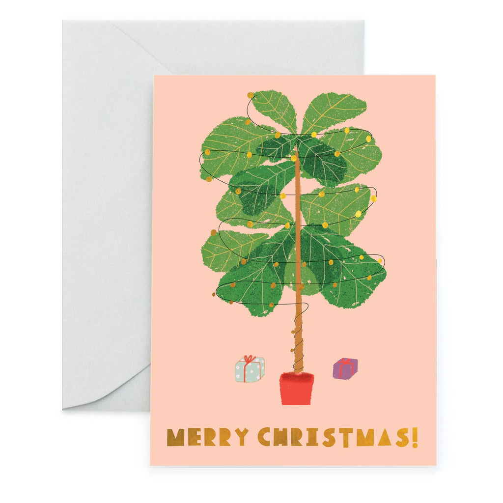 Merry Christmas - Ficus Lyrata