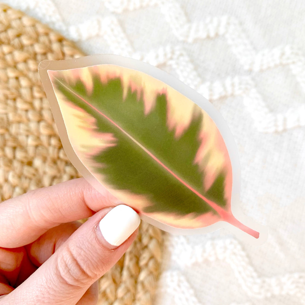 Elyse Breanne Design - Clear Variegated Rubber Plant Leaf Sticker, 3.25x2 in.