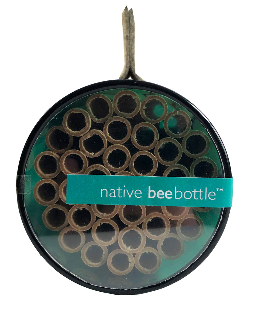 Potting Shed Creations - Native Bee Bottle
