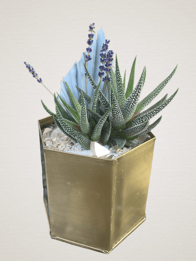 Aloe + Lavender In Brass Planter