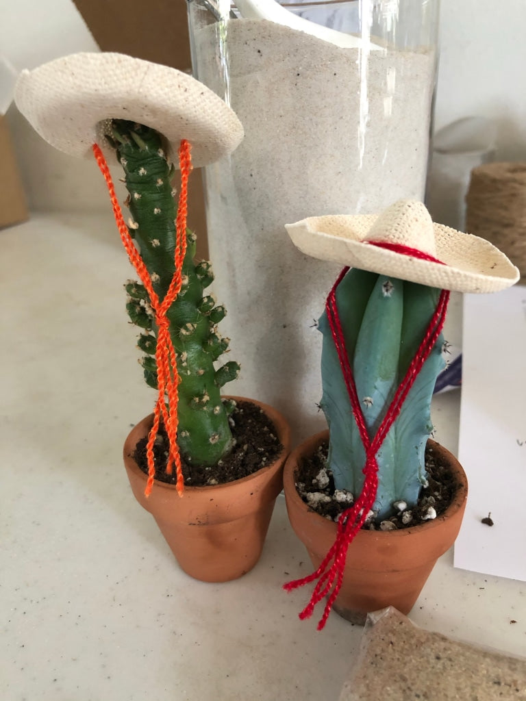 Cacti Hats Vaquero Cactus Hat Accessory