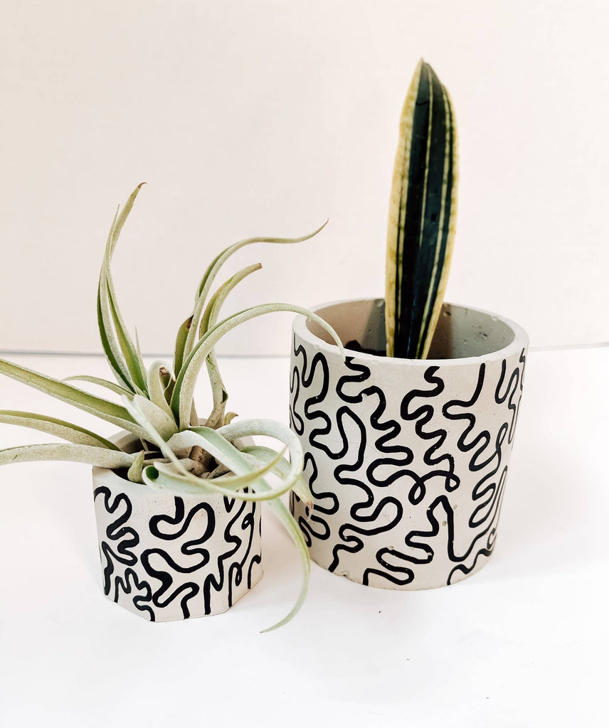 Squiggle Painted Planter: Small / No Drainage Hole