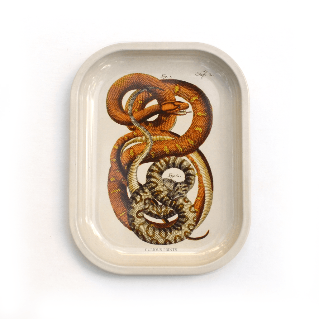 Curious Prints - Small Metal Snake Ritual Tray / Vintage Print Rolling
