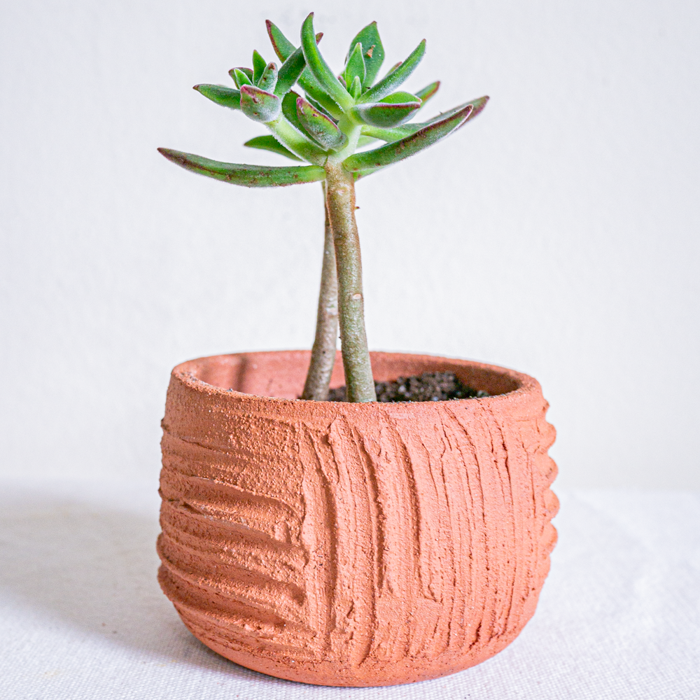 PLANT + VESSEL - TERRACOTTA FROSTING PLANTER DUO