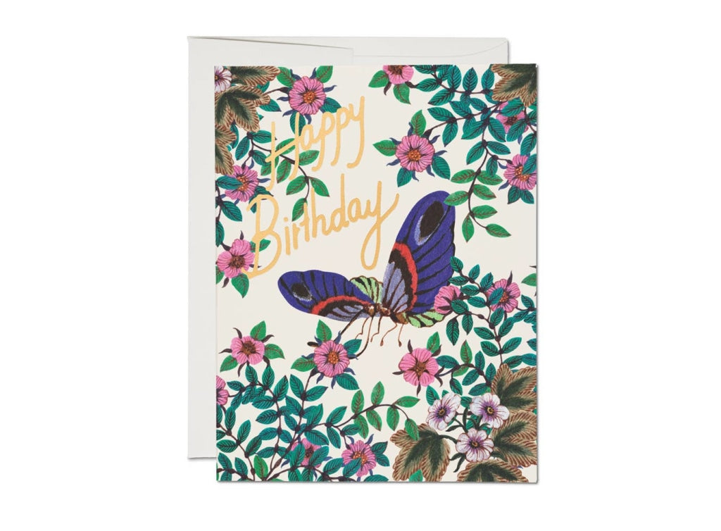 Red Cap Cards - Delicate Butterfly Birthday Greeting Card
