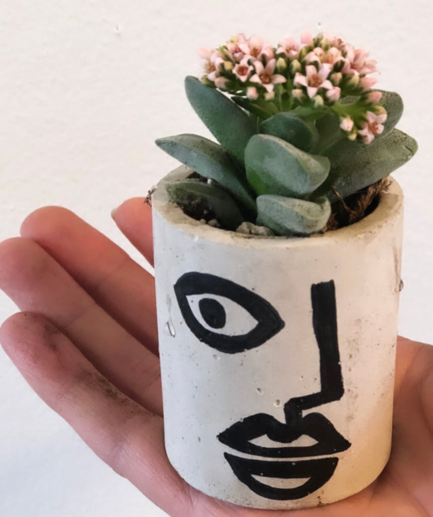 Face Pot With Succulent Appreciation Gift