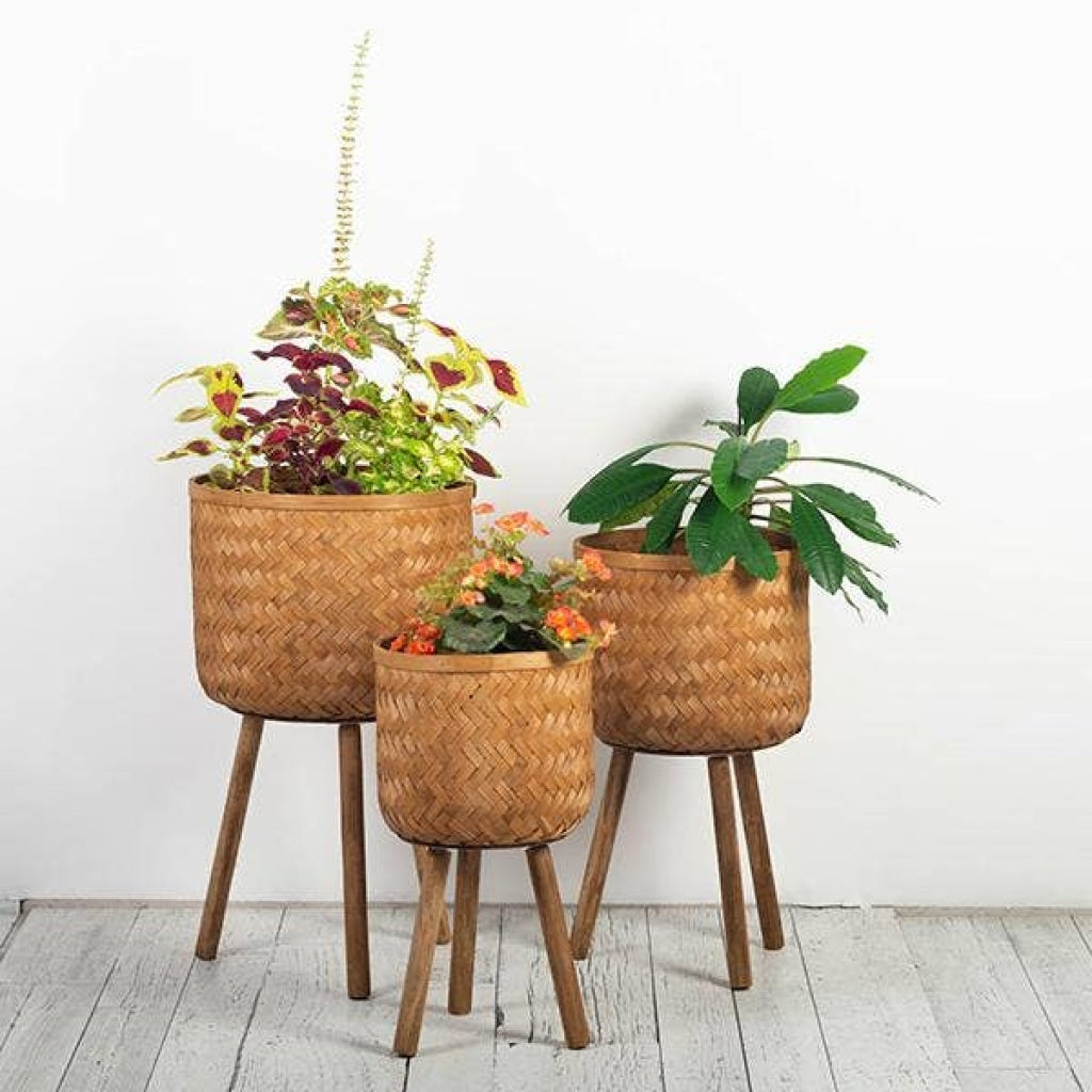 Forpost Trade Inc - Brown Bamboo Planters Set Of 3