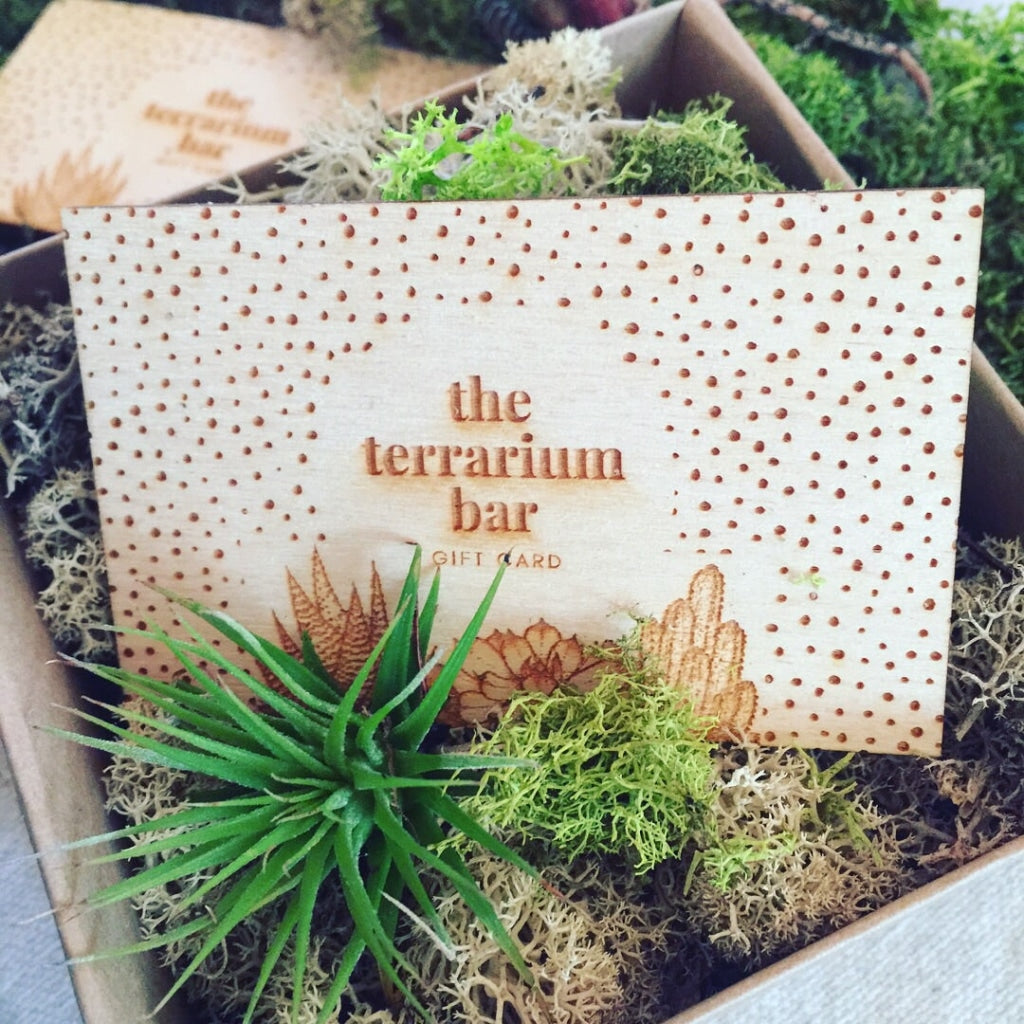 house plant gift card Gift Card + eGift Card