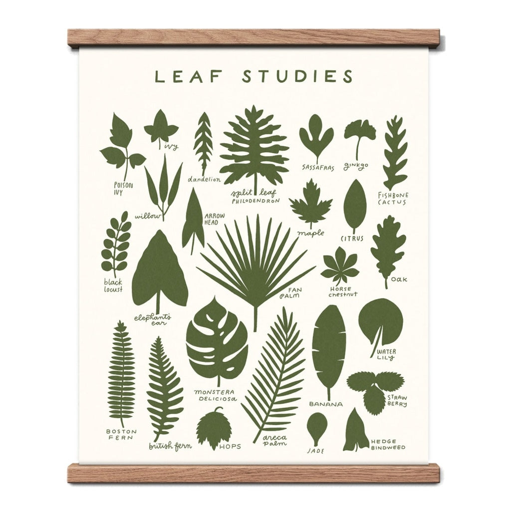 Leaf Studies 16 X 20 Print Cards