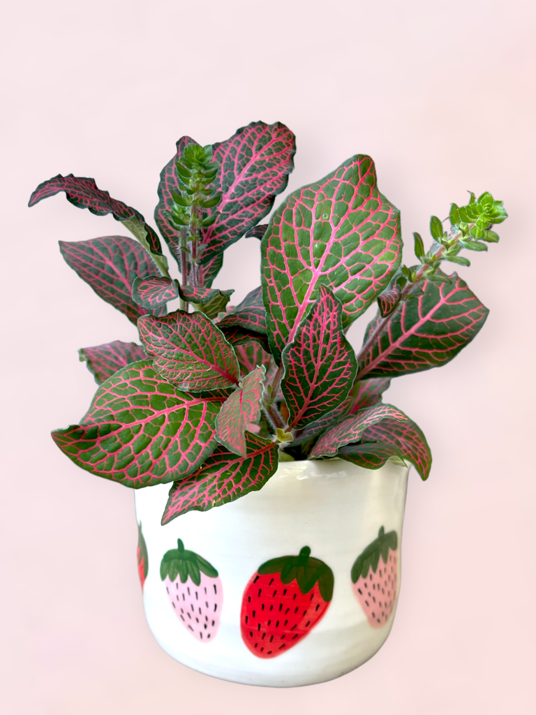 Plant Party Nerve Plant Planter