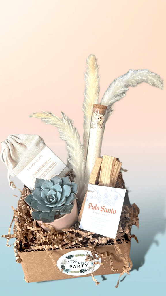 Plant & Plume Care-Package Appreciation Gift