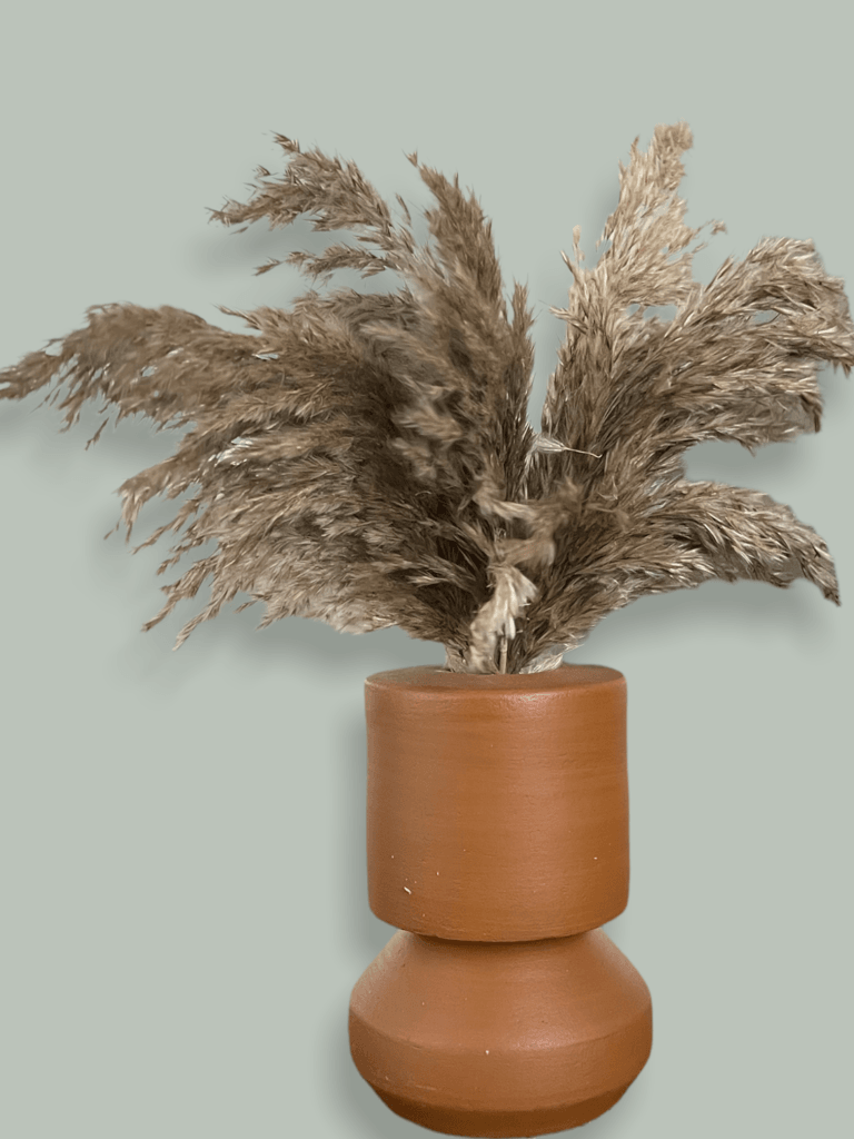 Plume In Terracotta Vase