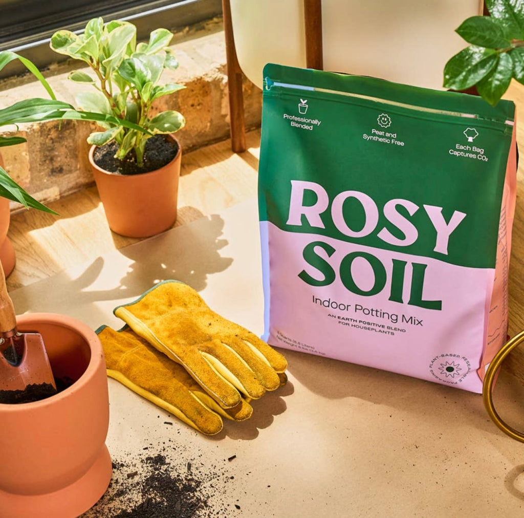 Rosy Soil - Earth Positive Potting