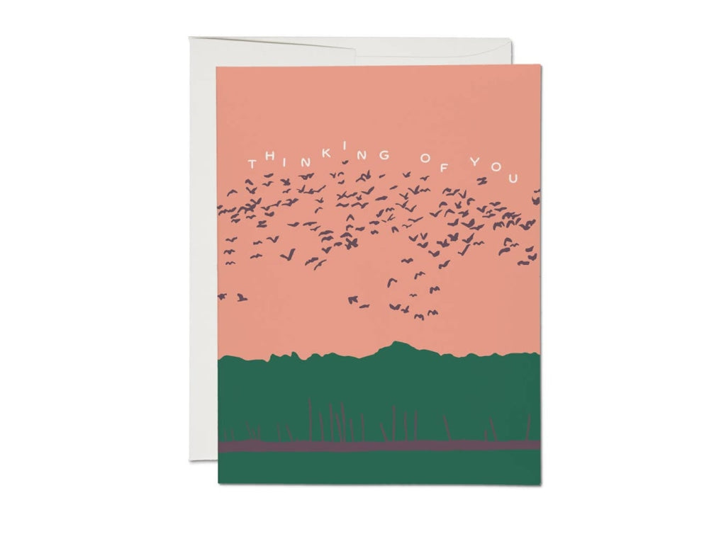 Red Cap Cards - Birds In Flight